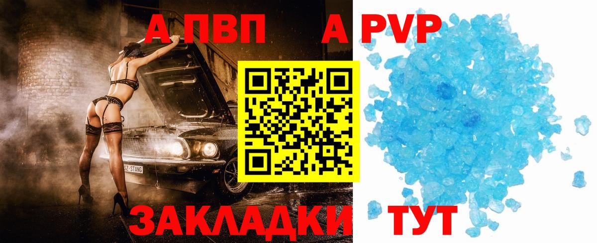 Альфа ПВП СК Губкинский