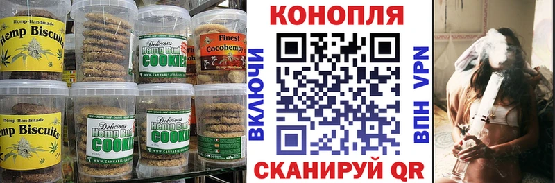 гидра зеркало  Губкинский  Cannafood конопля 