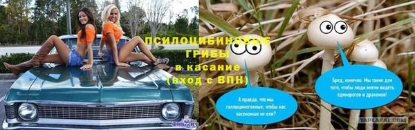 экстази Белокуриха