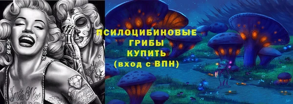 гашик Беломорск