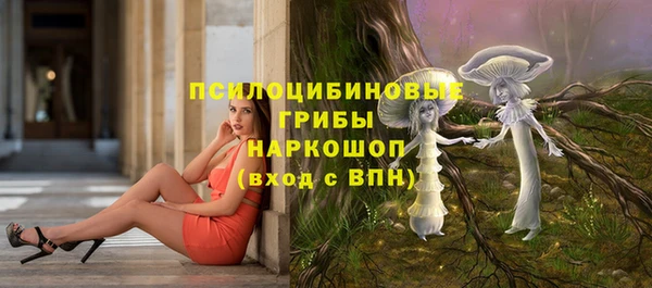 гашик Беломорск