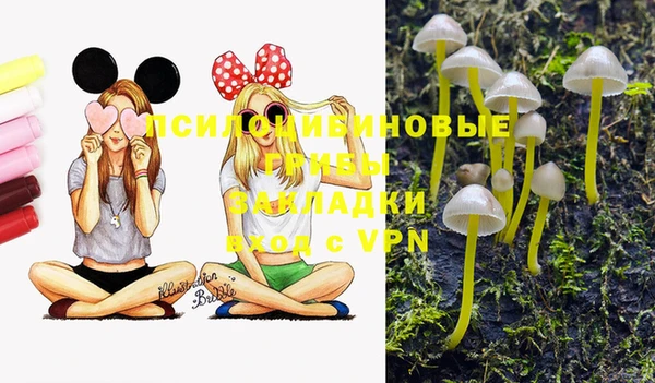 спайс Белоозёрский