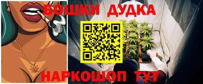 мдпв Кохма
