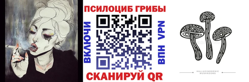 Псилоцибиновые грибы Cubensis OMG зеркало Губкинский