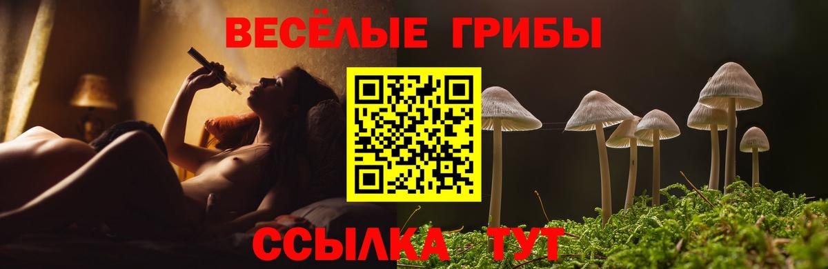 Галлюциногенные грибы GOLDEN TEACHER Губкинский